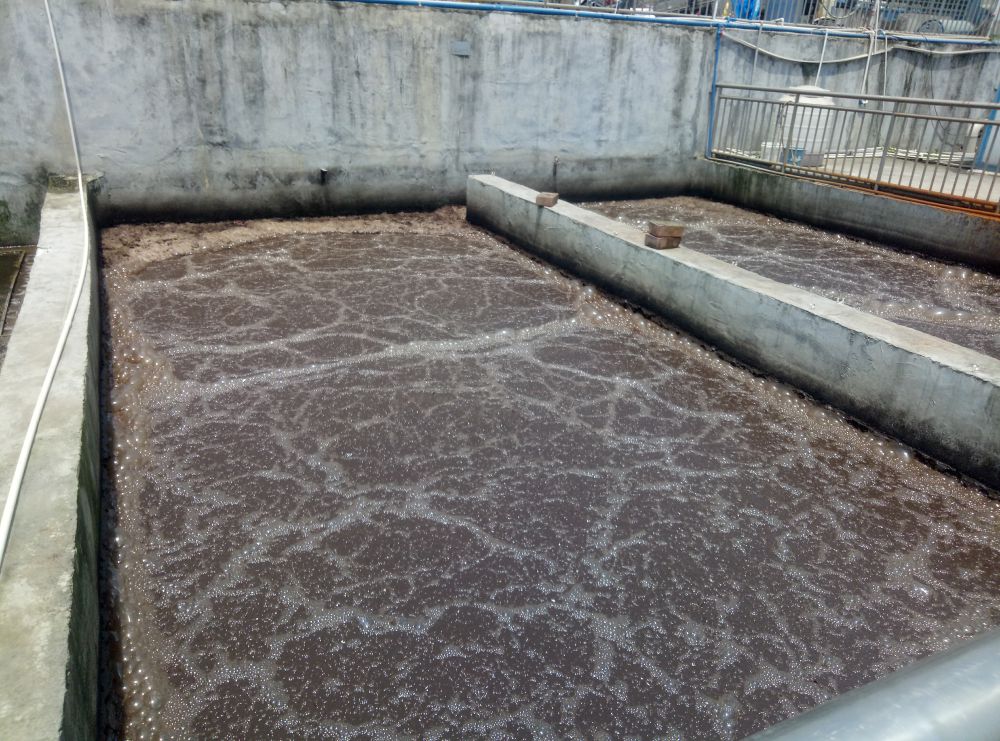 Wastewater from a biopharmaceutical plant in Guangzhou